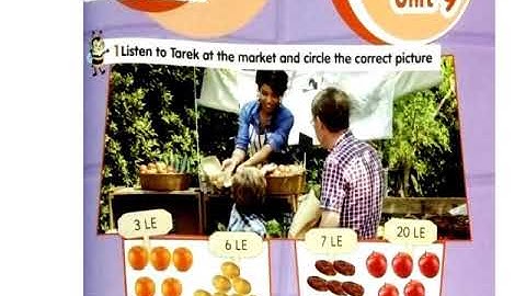 Connect plus Unit 9  Part 4