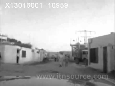 قرية الفريديس سنة 1960