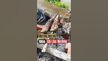 Đừng bỏ qua món cá lóc nướng miền tây nhé #shorts #youtubeshorts #monngon