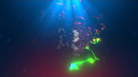 Particle Trail - Revolist Video Intro Template