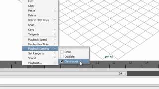 Famous Maya Course I Ch 05 V 05 Animation Playback Controls Net Worth