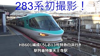 283系初撮影！HB601編成くろしお13号特急白浜行き　駅列車特集　JR阪和線　天王寺駅15番線　その11