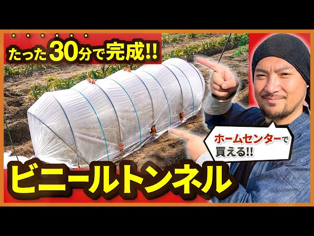ビニールトンネル