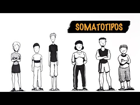 Vídeo: Os 9 Melhores Sapatos CrossFit Que Suportam Qualquer Treino