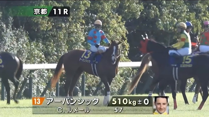 2024 第85回菊花賞〔GⅠ〕本馬場入場