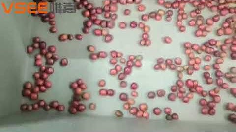 coffee beans color sorter machine