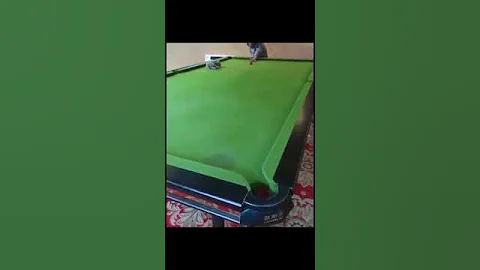 Watch the video about Gatos engraçados #shorts