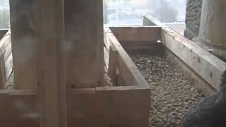 Bowling Green March 26, 2015 Egg Lay