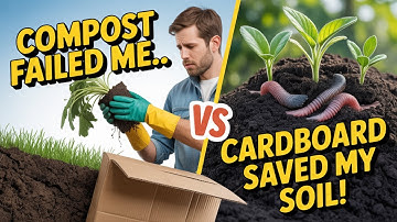 This Cardboard Technique Solved My Soil Problems Better Than Compost!