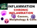 INFLAMMATION 8:  CHRONIC INFLAMMATION- Causes, Morphology & Cells