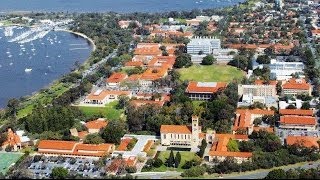 Download Lagu The UWA Experience MP3