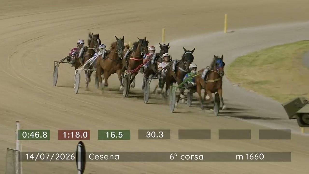 2026 07 14 | Corsa 6 | Metri 1660 | Premio Hotel Mare E Pineta Milano Marittima