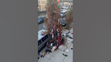Angry woman throws clothes out of apartment window