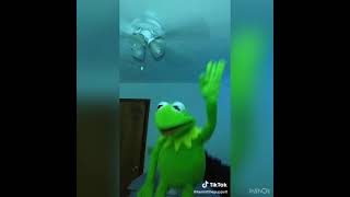 Funny Kermit The Frog Videos Of 2020 Part 8