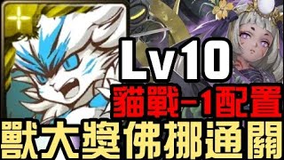 貓戰-1配置！大獎佛挪通關！五月挑戰任務 挑戰任務 Lv10 早苗月 2024（神魔之塔x貓咪大戰爭）