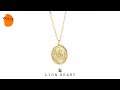 ライオンハート イギリス国章コイン プチネックレス K10 イエローゴールド