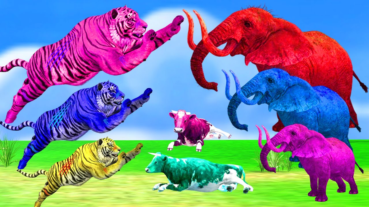 3 Zombie Tigers vs 3 Mammoth Elephants fight Cow cartoon Saved By Woolly Mammoth Animal Fights