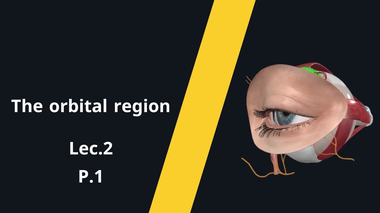 Orbital region Part1
