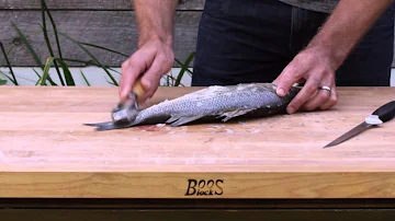How to Scale a Fish