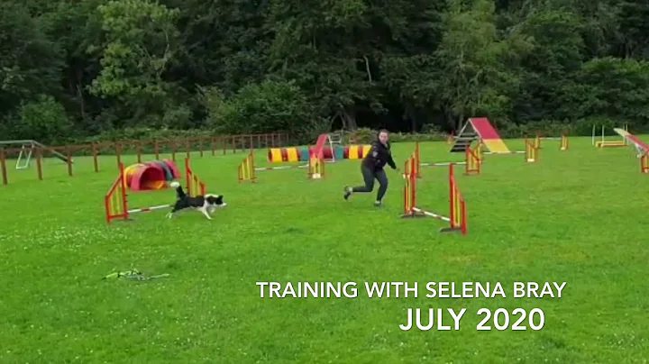 Fly - Young Dog Training with Selena Bray