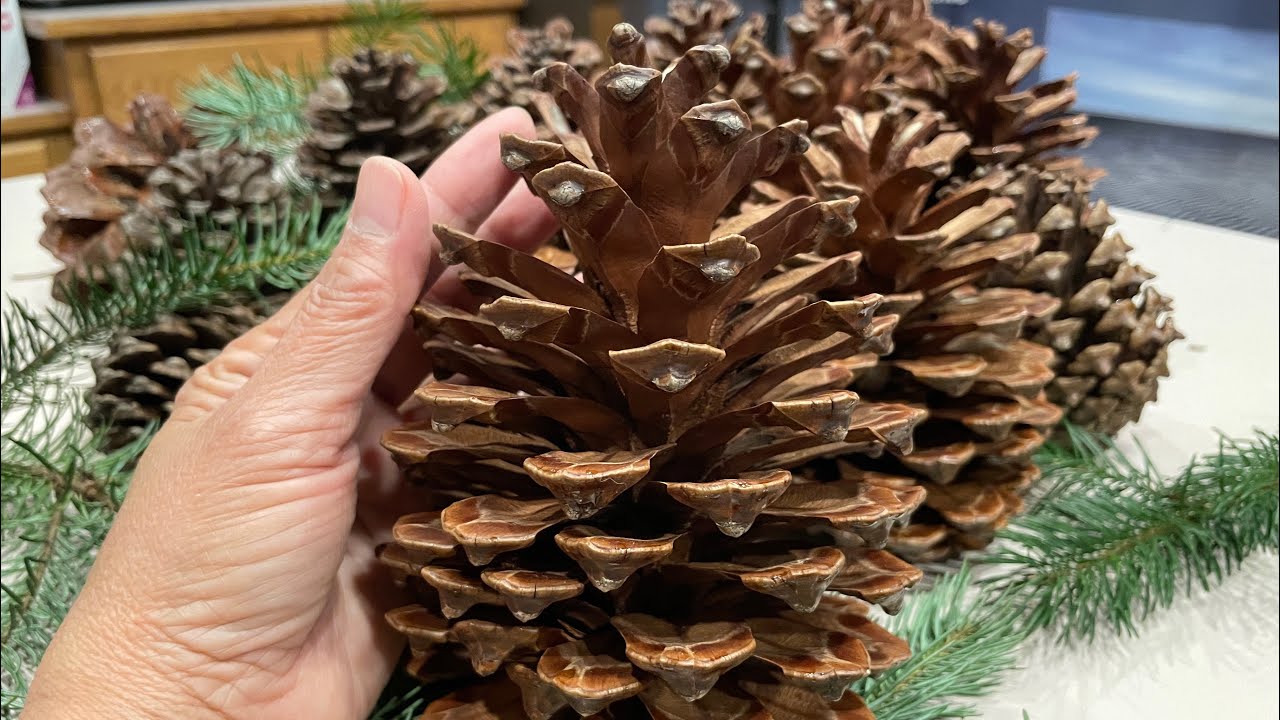 How to Prepare REAL Pinecones for Decorating 