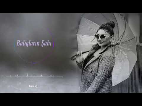 Sebnem tovuzlu baliqlarin şahı yep yeni 2018