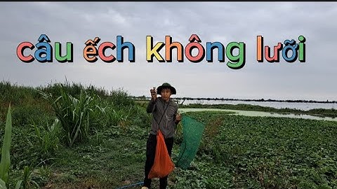 Câu ếch , câu ếch không lưỡi mùa lũ về dính toàn khủng , Cà Kê Vlog