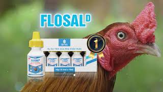 FLOSAL D - TRỊ HÔ HẤP CHO GÀ, HEN - KHẸC CHO GÀ ĐÁ