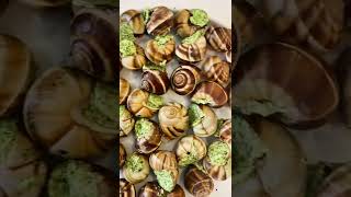 Escargot Snails in Garlic Butter - How to Cook Snails