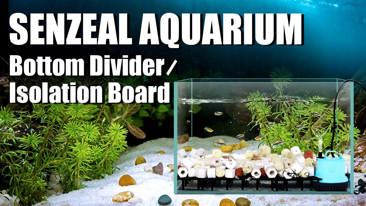 4pcs Aquarium Divider Panels Substrate Divider at Low Price Buy