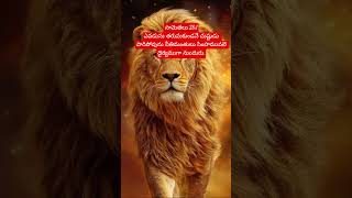 నీతిమంతుడు సింహమువలే ధైర్యంగా ఉండును #christmasmusic #shalemministry #churchservice #love #mo