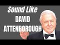 How To Do a DAVID ATTENBOROUGH Style VoiceOver