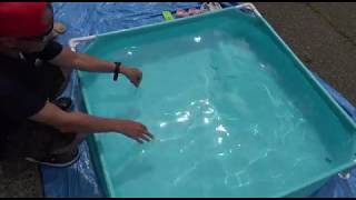 小型プール組み立て How to easy setup of a small pool.