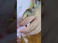 노는 달남이