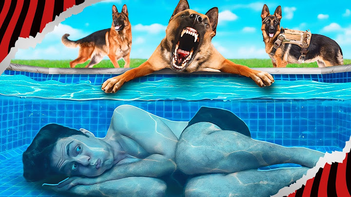 ME CAMUFLEI E ME ESCONDI DE UM CÃO DE CAÇA MILITAR!