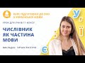 ЗНО-2022: Українська мова. Числівник як частина мови