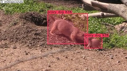 Neural network trained to find prairie dogs