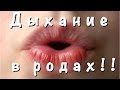 ДЫХАНИЕ в РОДАХ! ВАЖНО! Многих учат не правильно!!!