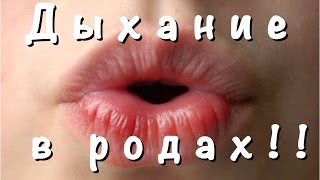 ДЫХАНИЕ в РОДАХ! ВАЖНО! Многих учат не правильно!!!