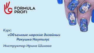 Объемные морские дизайны. Ракушка Наутилус Объемные морские дизайны. Ракушка Наутилус