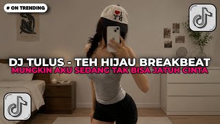 DJ TULUS - TEH HIJAU BREAKBEAT SLOW JJ | MUNGKIN AKU SEDANG TAK BISA TAK BISA JATUH CINTA 2026