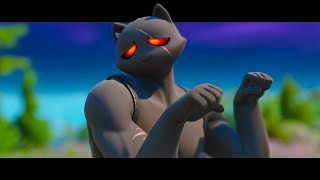 Paws & Claws 'I'm a Cat' (Fortnite Music Video)
