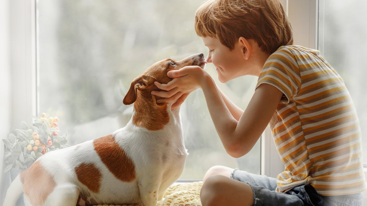 Rug Color Loss Process YouTube