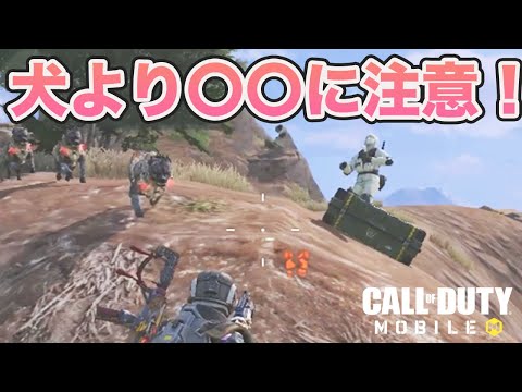 【CODモバイル バトロワ】ワンコに夢中になってない？ワンコが来たときはココを気をつけろ！