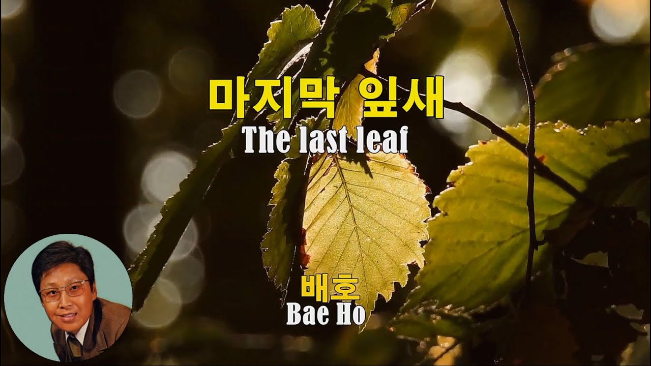 마지막 잎새 - 배호(The last leaf - Bae Ho)(1971) 가사lyrics 【K-Trot】 마지막 잎새 - 배호(The last leaf - Bae Ho)(1971) 가사lyrics 【K-Trot】