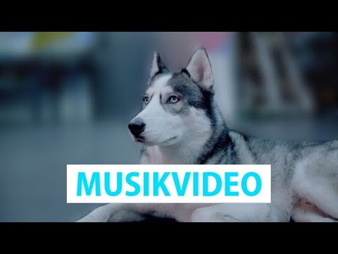 Madlen Rausch - Nicht von dieser Welt (Offizielles Video) [4K]