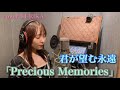 テレビアニメ『君が望む永遠』OPテーマ「Precious Memories」