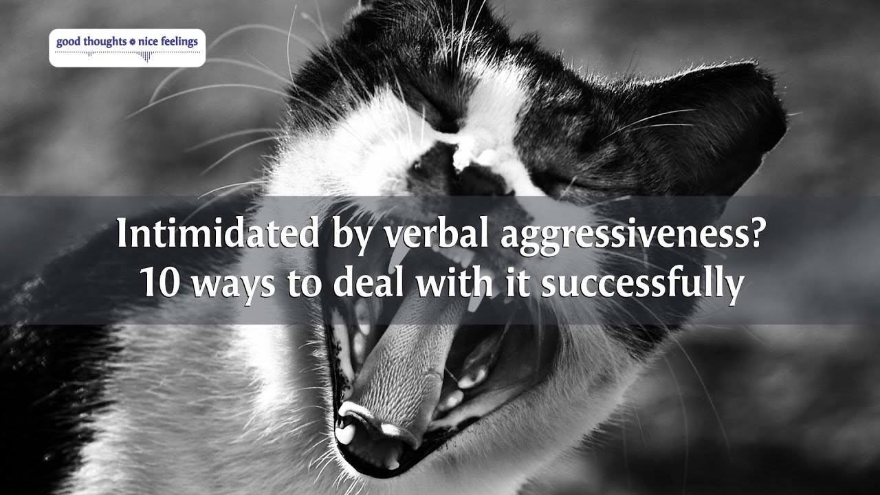 Intimidated by verbal aggressiveness? 10 ways to deal with it ...