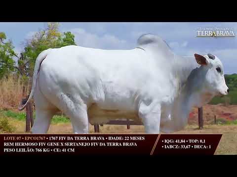 LOTE 07   EPCO 1767