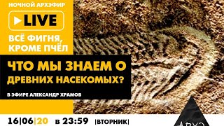 Ночной АРХЭфир в рамках рубрики "Все фигня, кроме пчёл" "Что мы знаем о древних насекомых?"